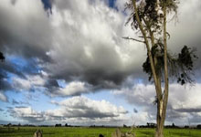 手机单反套件有必要吗为什么找不到镜头,为什么手机没有单反细节清楚