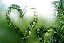 斯坦尼康摄像机稳定器说明书,小斯坦尼康手持稳定器调平